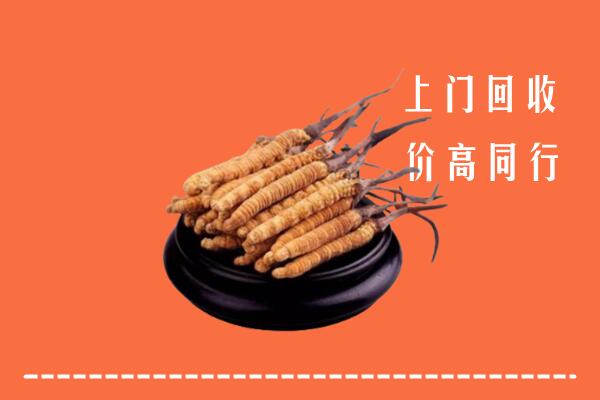 高价求购：惠州市惠城区回收散虫草