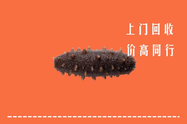惠州市惠城区回收海参