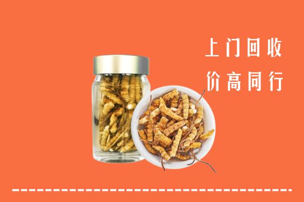 惠州市惠城区回收冬虫夏草