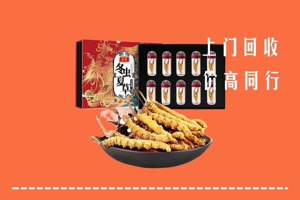 惠州市惠城区回收虫草